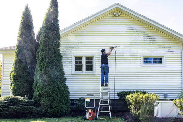 Best Rust and Stain Removal in Gibson City, IL